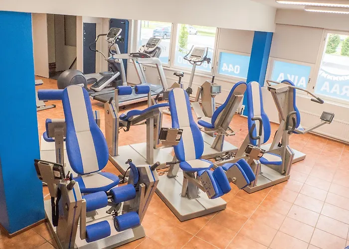 호텔 Sorsanpesae 4*